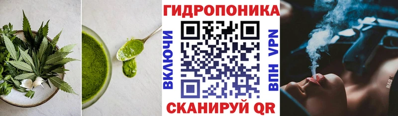 darknet наркотические препараты купить наркоту Великие Луки Cannafood конопля