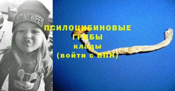 гидра Аркадак
