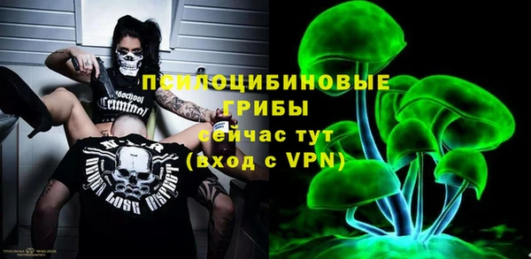винт Армянск