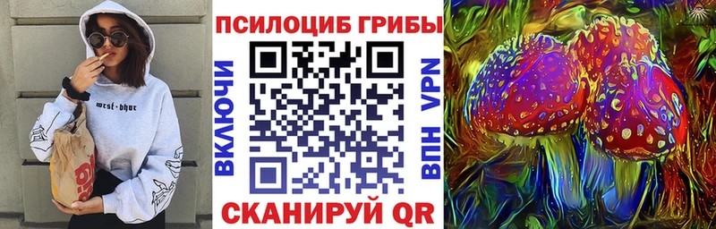 Псилоцибиновые грибы Psilocybe  Великие Луки 
